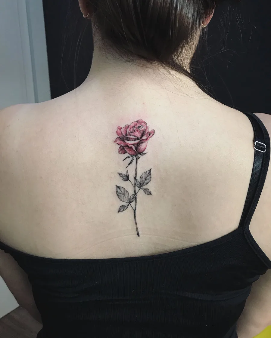 Rosa com pétalas vermelhas entre as escápulas